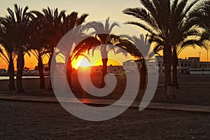 Sunset in an oasis of palm trees on the beach in southern Spain