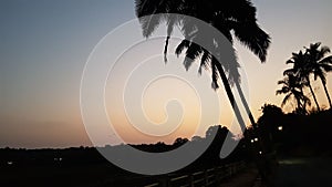 A sunset observed near the Panjim City in Goa. It gives shadows of tress and houses.