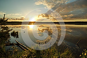 Sunset observingn over swamp in Latvia photo