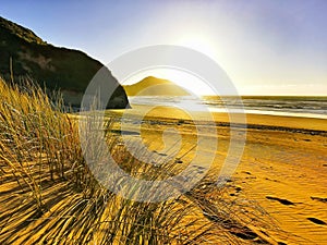 Sunset on an ocean beach with dune vegetation and rock cliffs in New Zealand