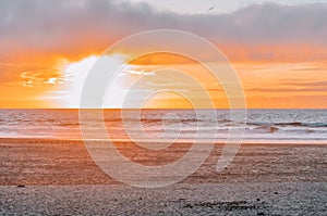 Sunset on the ocean beach in San Francisco: beautiful landscape, concept of vacation, travel, relaxation