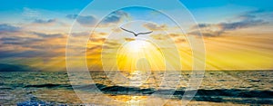 Sunset Ocean Bird Silhouette Inspiration Banner