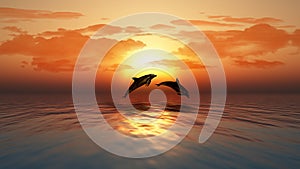 Sunset ocean with dolphins jumping