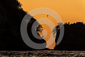 Sunset Ocean Island Rocks Coastal Bird Scenic Landscape Seascape Silhouette