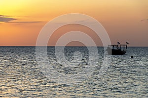 Sunset. Ocean view. Africa, Tanzania, Zanzibar, Kendwa. Summer vacation concept