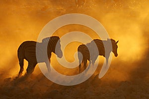 Sunset at Okaukeujo, Namibia