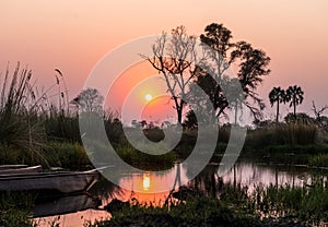 Sunset in the Okavango Delta