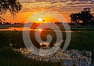 Sunset in the Okavango Delta