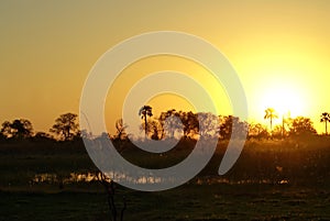 Sunset in the Okavango Delta