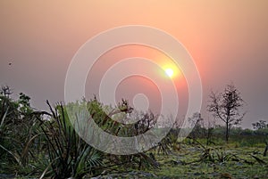 Sunset in the Okavango Delta