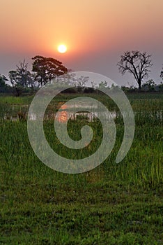 Sunset in the Okavango Delta