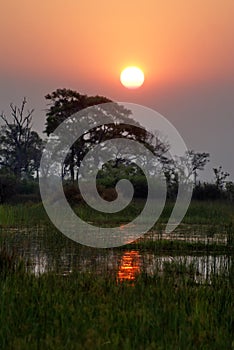 Sunset in the Okavango Delta