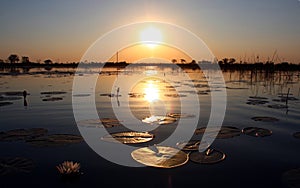 Sunset in Okavango Delta, Botsuana photo