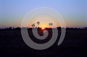 Sunset, Okavango Delta, Botswana