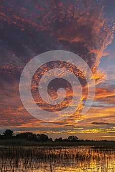 Sunset in the Okavango Delta - Botswana