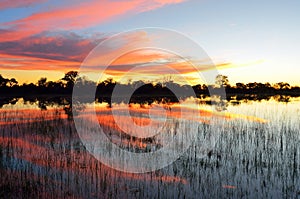 Sunset in the Okavango delta at sunset, Botswana