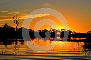 Sunset in the Okavango delta at sunset, Botswana