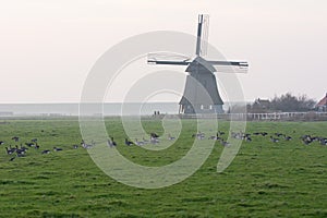 Sunset with old Dutch windmill