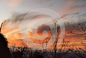 sunset with orange clouds and silhouettes of trees and plants valleys and hills