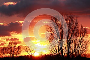 Sunset and orange skies