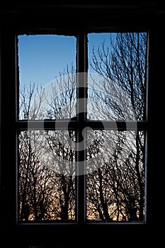 Sunset outside my window