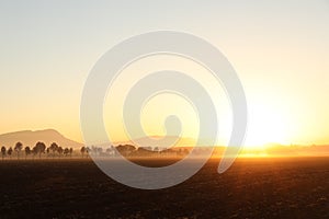 Sunset over an African Farm