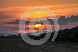 Sunset over agricultural fields