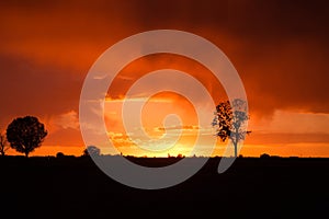 Sunset over agricultural green field - August 2016 - Italy, Bologna, Medicina