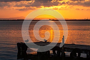 Sunset over Albufera freshwater lagoon