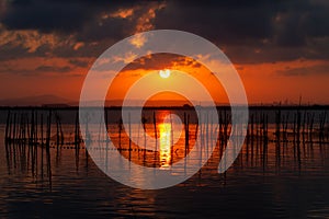 Sunset over Albufera freshwater lagoon