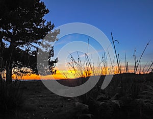 Sunset over the Ashdown Forest