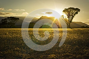 Sunset over Australian mountains and fields