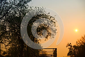 Sunset over car and road