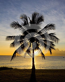 sunset over Caribbean Sea, Barbados