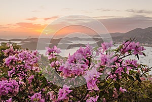 Sunset over Charlotte Amalie St Thomas