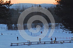 Sunset over a clearing in the forest.