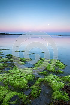 Moonlit bay photo