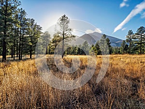 Sunset over Coconino National Forest near Flagstaff, Arizona