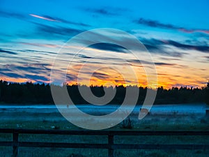 Sunset over cows in a foggy field.