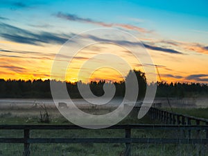 Sunset over cows in a foggy field.