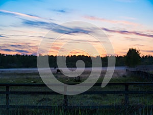 Sunset over cows in a foggy field.