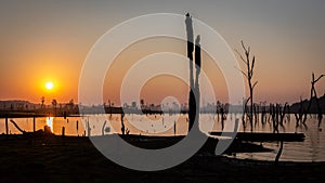 Sunset over dead trees, Nam Theun river, Thalang, Thakhek, Laos