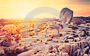 Sunset over desert in Joshua Tree National Park.