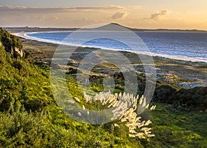 Sunset over Doubtless bay and Rangiputa volcano