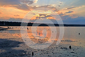 Sunset over a drying salty estuary