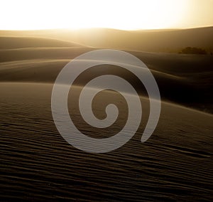 Sunset over the dunes