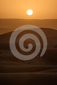 Sunset over the dunes, Morocco, Sahara Desert