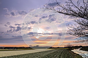 Sunset over a dutch flower field with hyacinths