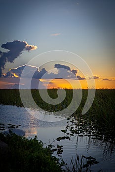 Sunset over the Everglades