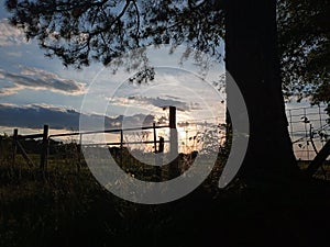 sunset over farm with fence and tree